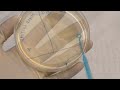 ID Laboratory Videos: Isolating bacterial colonies