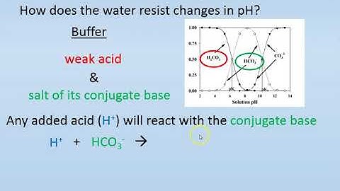 Pool Chemistry: lesson 2 total alkalinity
