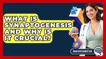 What Is Synaptogenesis And Why Is It Crucial? - Brain Development Hub
