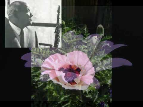 Sidney Bechet Petite Fleur