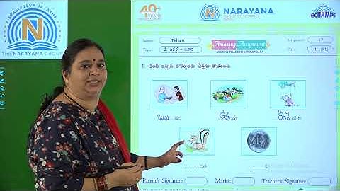 22ND SEP AP CLASS III SL TELUGU AMAZING ASSIGNMENT 17 KEY