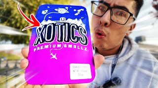 These LIL EXOTICS had me a LIL TOO FADED!