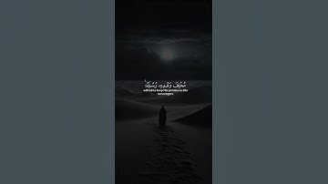 اكتب شيء تؤجر عليه 😴🩶| قران كريم | القارئ عبد الرحمن مسعد