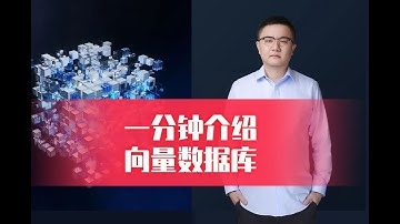 一分钟介绍向量数据库 卢菁博士 北京大学博士后 速通人工智能，零基础转型AI #人工智能 #分享