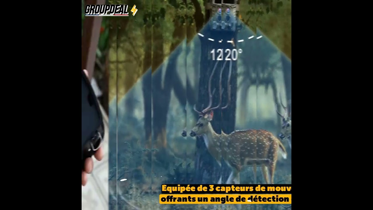 Caméra de chasse à vision nocturne | Groupdeal.fr