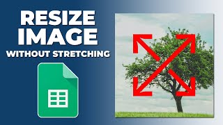 How to resize an image in google sheets without stretching