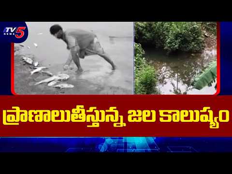 ప్రాణాలుతీస్తున్న జల కాలుష్యం | Water Polution Taking Lives in Visakhapatnam | TV5 News - TV5NEWS