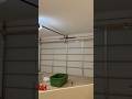 Liftmaster 81600 on a 16x8 Clopay T50L