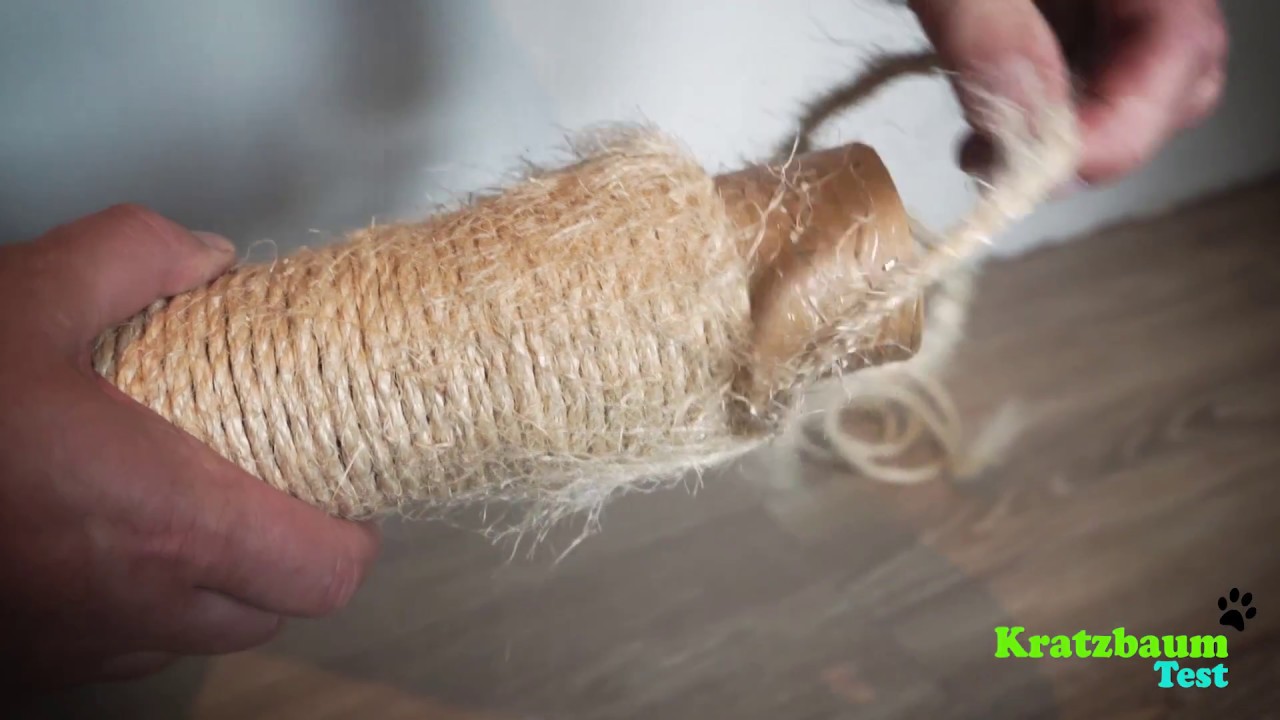 Kratzbaum Tutorial "Einfach selbst reparieren"