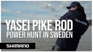 Power hunt for pike in Sweden | Yasei AX