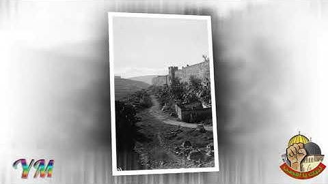 95 سورة التين القارئ سعد الغامدي