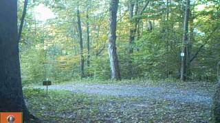 Unfriendly Neighbor Greatest Video Hits For October 2016 Week 2