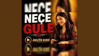 Neçe Gule