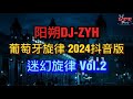抖音热播DJ2024 迷幻口水旋律 Vol 2 阳朔DJ ZYH 葡萄牙旋律 Mixtape Trend Dance Chinese 2024 So Hot 抖音热播DJ2024 迷幻口水旋律 Vol 2 阳朔DJ ZYH 葡萄牙旋律 Mixtape Trend Dance Chinese 2024 So Hot