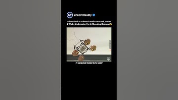 This Robotic Cockroach Walks On Land, Swims & Walks Underwater For A Shocking Reason #shorts #robot