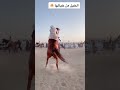 شجاعة فارس الحصان الفارس الخيل رياضة 