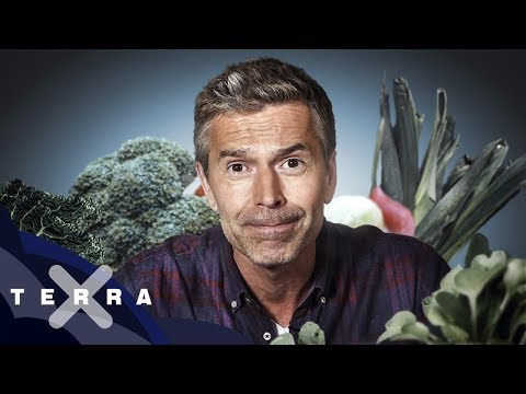 Video: Sollen Wir Versuchen, Auf Vegetarismus Umzusteigen?