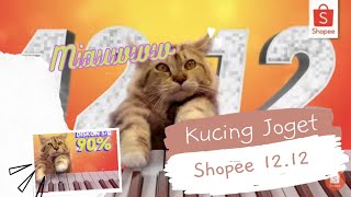 Kucing Joget Shopee 12.12. Iklan Asik 5 menit.
