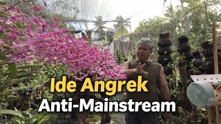 Inovasi Anggrek Pak Aris: Kreasi Unik di Balik Kesibukan Sebagai PNS