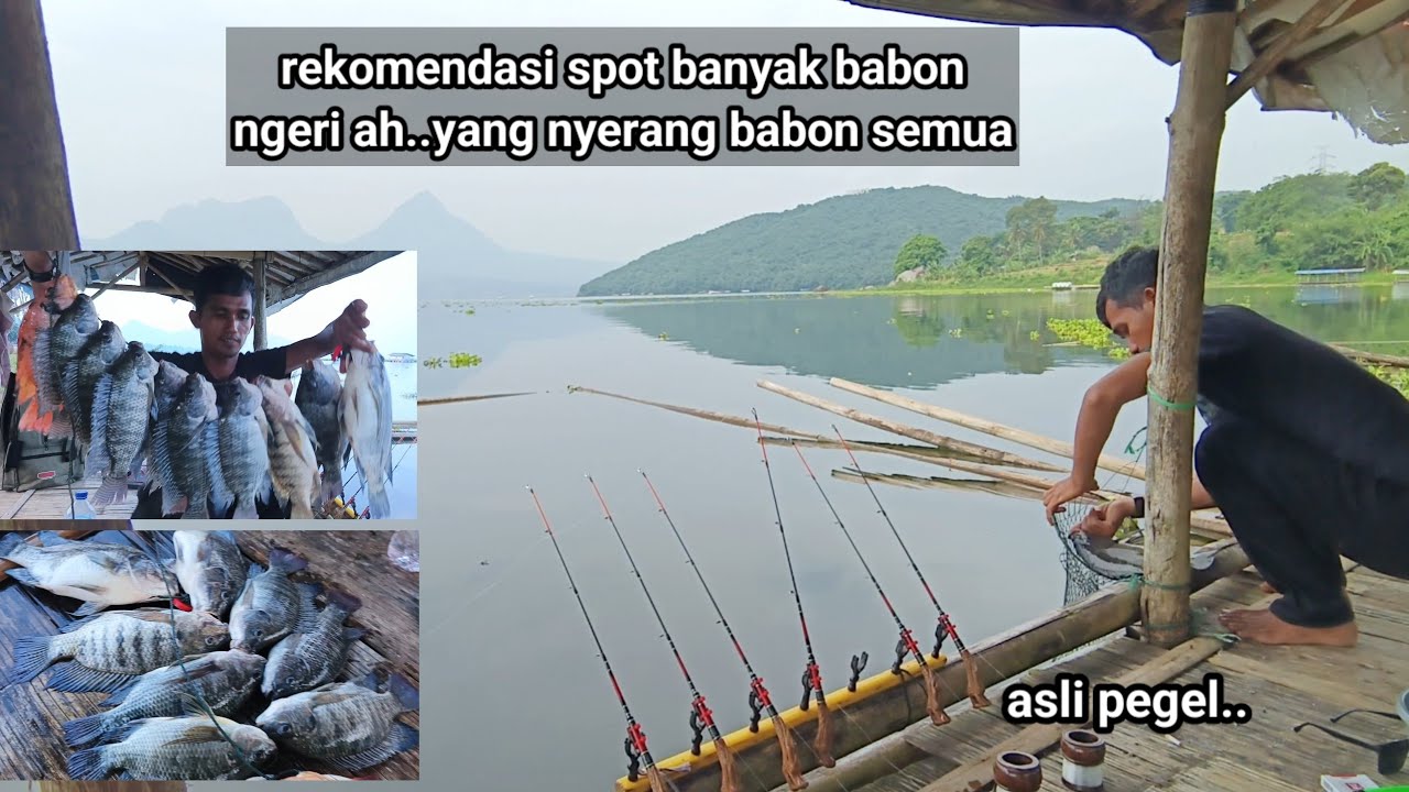 Mancing jatiluhur terbaru//spot idaman para pemancing ikan nya babon semua...