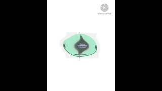 Lg Logo 1995 In G Major 79 Low Voice Crying Waring Loud