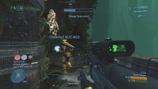 Halo player slowly descends into madness 😔🔫