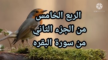 الربع الخامس من الجزء الثاني 🌹🌹من سورة البقره مكرر 🌷🌷للشيخ مشارى العفاسي 🥀🥀