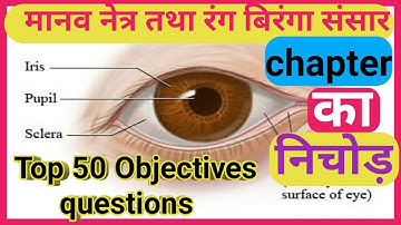 मानव नेत्र तथा रंग बिरंगा संसार || Class 10 physics objective question in hindi.
