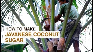 How To Make Organic Javanese Coconut Sugar