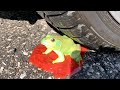 Crushing Crunchy & Soft Things by Car! EXPERIMENT: Car vs Fake Frog