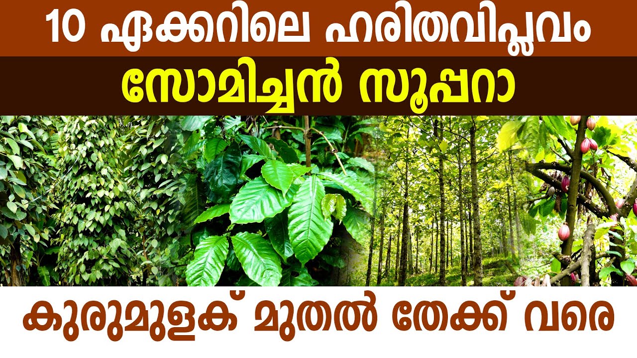 കൃഷിയിൽ നിന്ന് കോടികൾ ലാഭം കൊയ്യുന്ന യഥാർത്ഥ കർഷകൻ