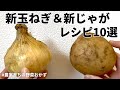 【レンジでできる】元農家おすすめ新玉ねぎと新じゃがの美味しい食べ方10選｜サラダ｜浅漬け｜おつまみ｜つくりおきOK