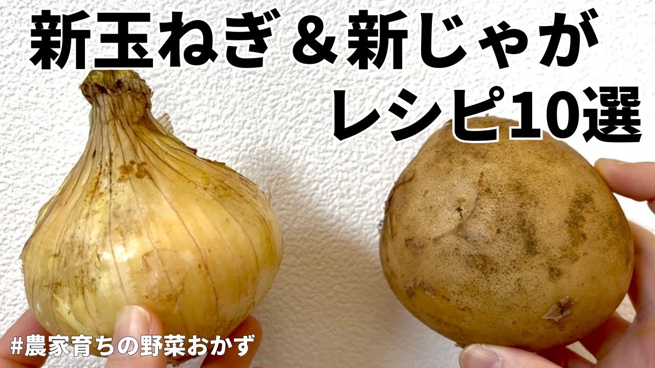 【レンジでできる】元農家おすすめ新玉ねぎと新じゃがの美味しい食べ方10選｜サラダ｜浅漬け｜おつまみ｜つくりおきOK