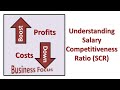 Understanding salary competitiveness ratio scr