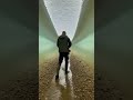 11 ноября 2025 г.