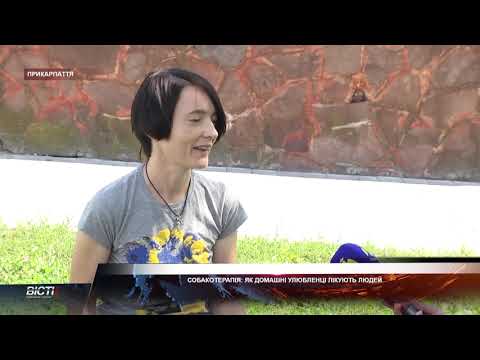 Собакотерапія: як улюбленці лікують людей