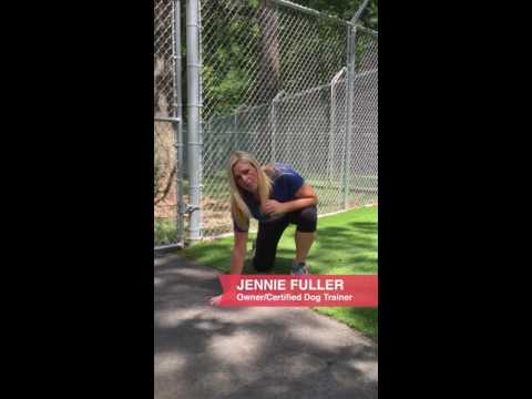 astro-turf-at-top-dog-training-and-resort