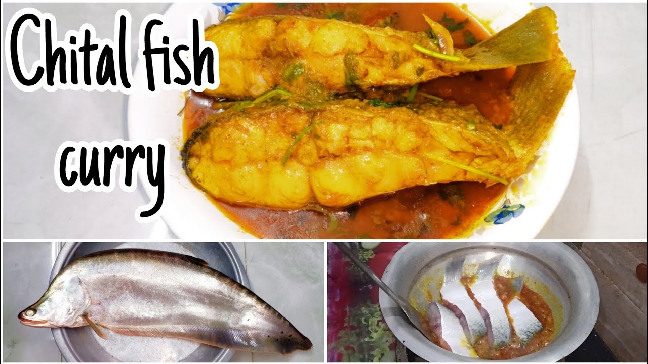 দুর্দান্ত স্বাদের চিতল মাছের তেলঝোল রেসিপি।Chital fish curry.Fish ...