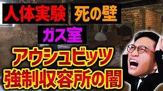 【閲覧注意】アウシュビッツに強制収容されたらどうなる？現地に実際に行ってみた結果【実話】 / タケシ弁護士