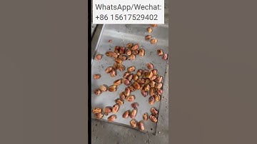 Olive Iraq Dates Pitting Devices Cherry Peach Core Removing Machinery Fruit Stone Remover Machine