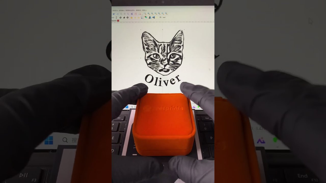 Google Search IPetprints Because Grief Needs Grace And Gold Can Hold It