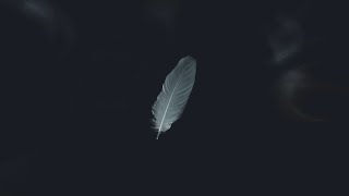 Channeled Message::SPIRITUAL MEANING OF SEEING GREY FEATHERS🦅