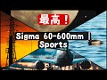 新しい Sigma 60-600mm Sports レンズが素晴らしすぎる❗️ポートレートだけじゃなく、野鳥、飛行機撮影、風景などにも最高❗️