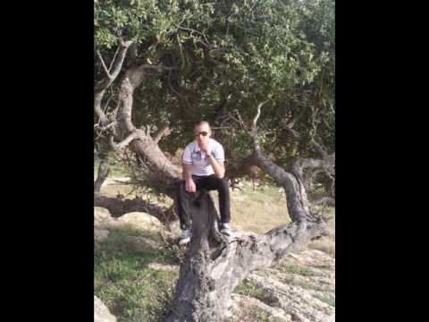 حمادة هلال ساعات