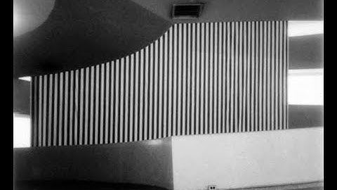 2 Rise of Institutional Critique