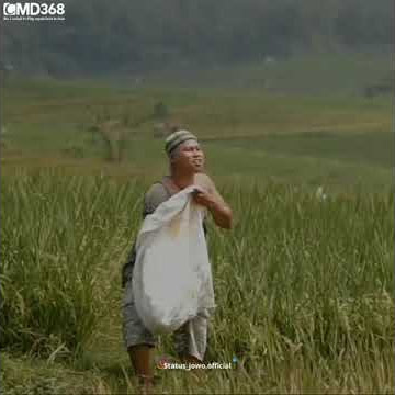 STORY W.A LUCU!!! AGOS KOTAK NGARET KEPANASEN 🤣