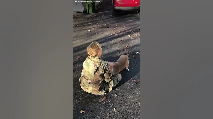 Dog Reunites With His Mom After A Year | The Dodo