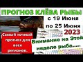 Прогноз клева рыбы на Эту неделю с 19 по 25 Июня. Календарь клева рыбы. Лунный календарь рыбака.