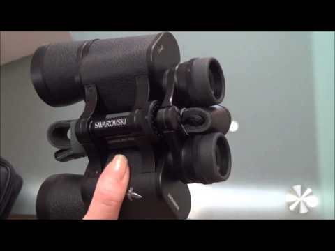 swarovski 7x42 habicht