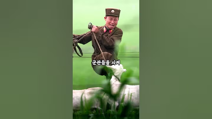 북한 제 6군단의  쿠데타 모의 사건